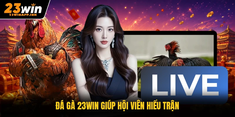Đá gà 23WIN giúp hội viên hiểu trận